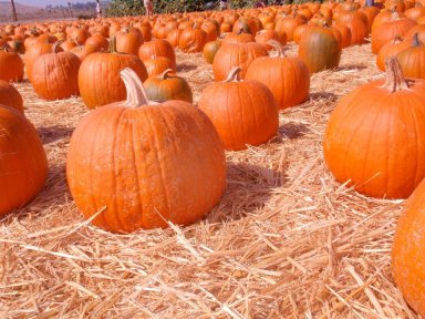 308273_10100442773505289_14831981_53345311_1378146718_n