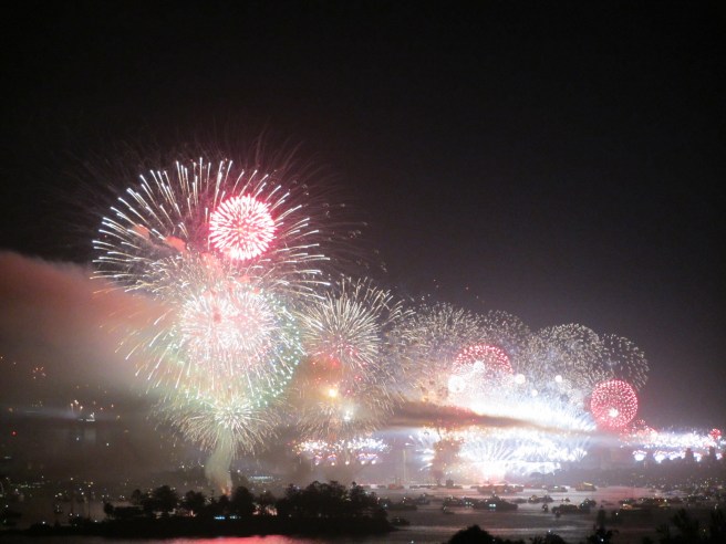 Syndey Harbor Fireworks, NYE 2013. © Life Love and Yoga 2103