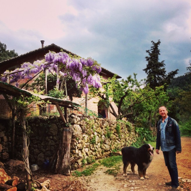 © Life Love and Yoga 2013, Franz and Rico